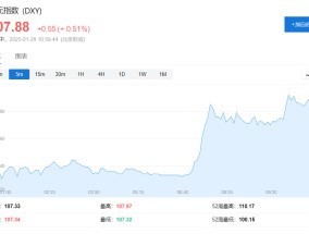 关税逐月增加！美国新财长推动“渐进式普遍关税”，起步2.5%，每月2.5%，最高20%！