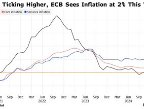 欧洲央行管委：每次会议都降息是可行的，夏季利率有望降至2%