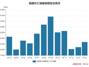 2月末外储规模上升 央行连续四个月增持黄金