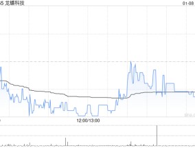 龙蟠科技于印度尼西亚投资建设的12万吨磷酸铁锂正极材料项目拟变更实施主体