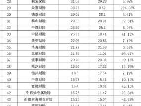 73家非上市财产险公司2024业绩排行榜：保费、利润均现近双位数增长 申能财险首份成绩单大亏24.57亿元