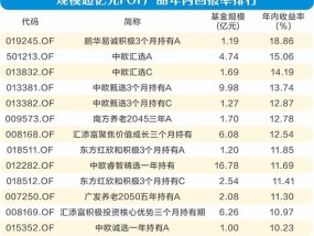 多元配置策略正当时 超九成FOF年内实现正收益