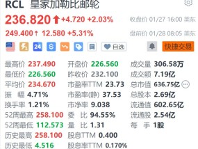 皇家加勒比邮轮盘前涨5.3% 年度利润指引超预期