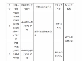 太保产险咸宁中心支公司被罚10万元：因虚构中介业务套取费用