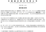 中国建材股份任命新执行董事