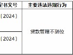 齐鲁银行聊城分行因贷款管理不到位被罚35万元