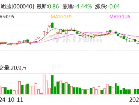 ST旭蓝：无法在责令改正期限内完成资金占用整改 1月6日起停牌