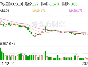 *ST东园：公司未来新能源领域主要业务包括集中式电站开发和运营、分布式能源项目开发和运营等