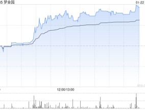 梦金园盘中涨超14%创新高 较招股价已高48%