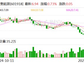 新集能源：控股股东拟以2.5亿至5亿元增持公司股份