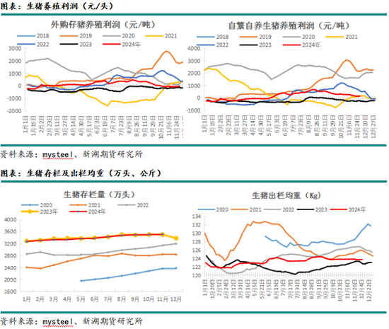 新湖农产（玉米）2025年年报：守云开待月明