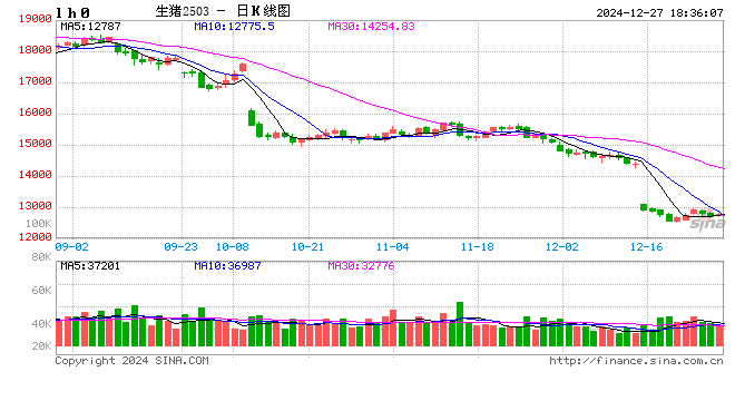 生猪现货日报|全国均价15.81元/公斤 连涨后养殖端卖猪情绪增强 屠企收猪压力缓解